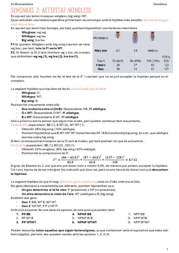 Miniatura del documento Seminari-2-Genetica.pdf
