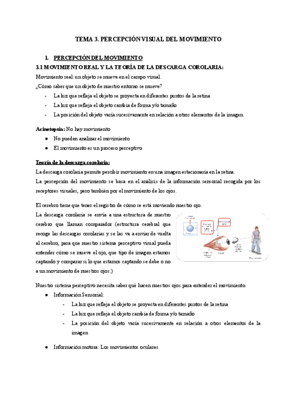 Miniatura del documento TEMA-3.-PERCEPCION-VISUAL-DEL-MOVIMIENTO.pdf