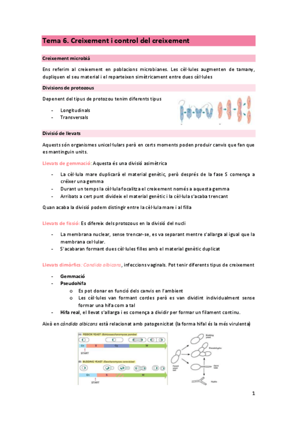 Miniatura del documento T6-MIC.pdf
