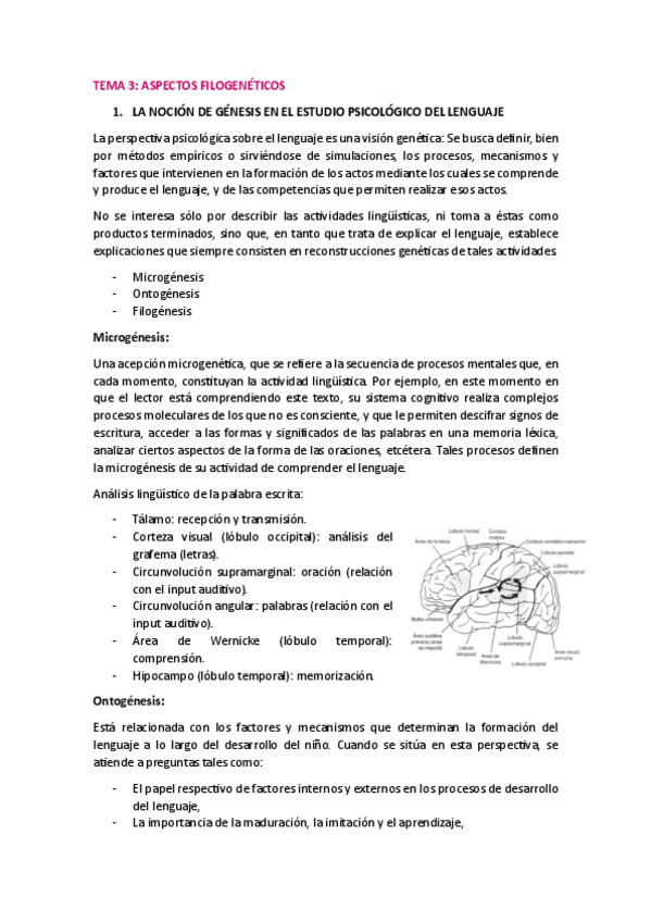 Miniatura del documento TEMA-3-LA-GENESIS-DEL-LENGUAJE.pdf