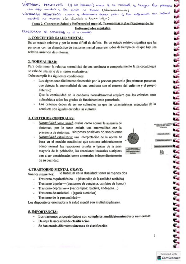 Miniatura del documento Tema-2-salud-mental.pdf