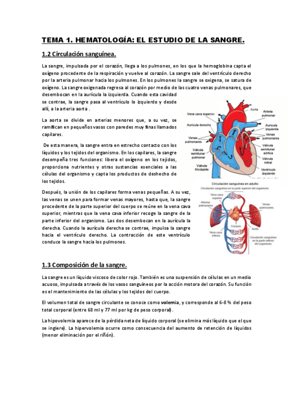 Miniatura del documento Hematologia.pdf