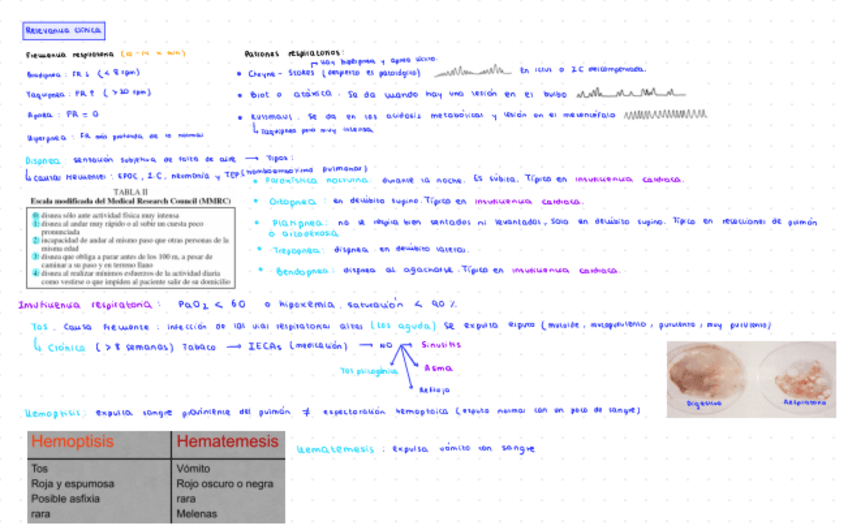 Miniatura del documento Esquema completo 2 parcial.pdf