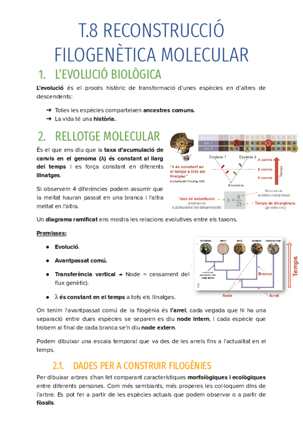 Miniatura del documento T.8-RECONSTRUCCIO-FILOGENETICA-MOLECULAR.pdf