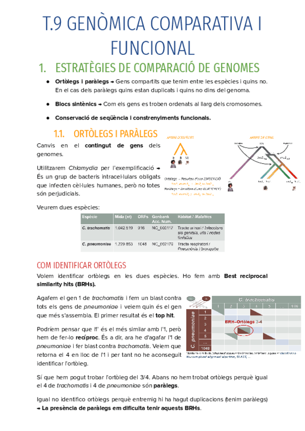 Miniatura del documento T.9-GENOMICA-COMPARATIVA-I-FUNCIONAL.pdf