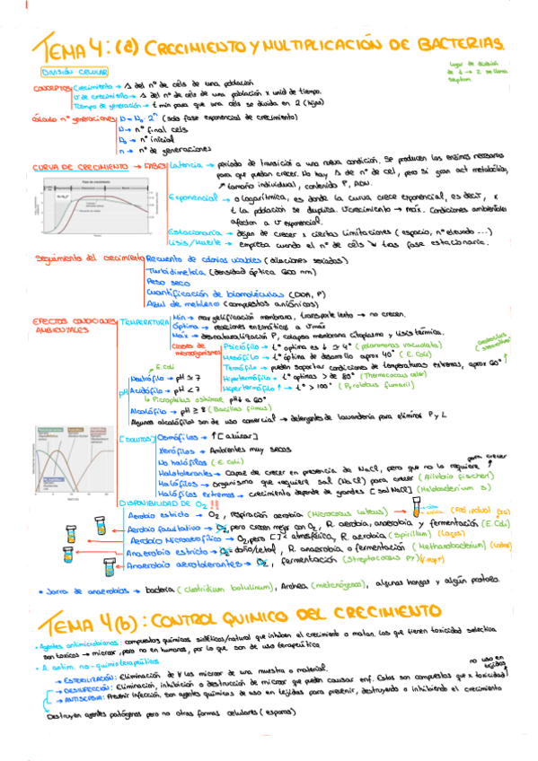Miniatura del documento TEMA-4.pdf