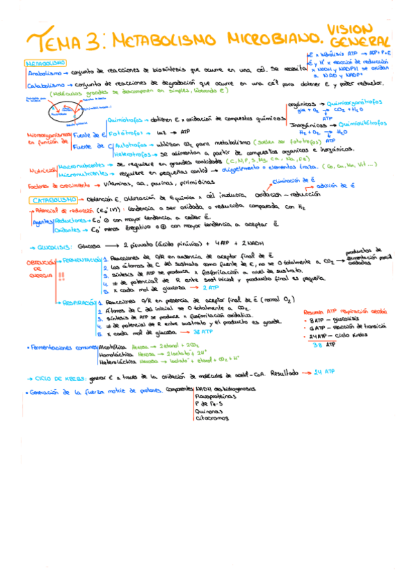 Miniatura del documento TEMA-3.pdf