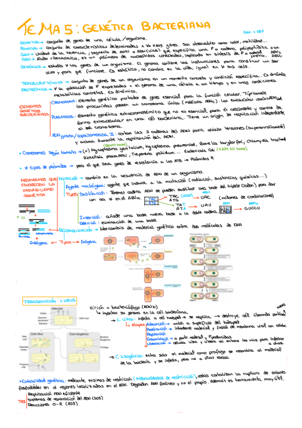 Miniatura del documento TEMA-5.pdf