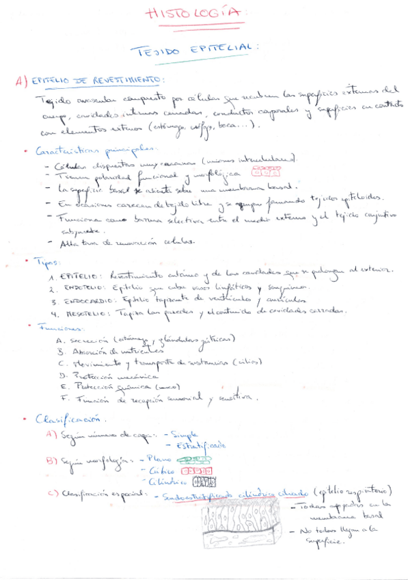 Miniatura del documento Histo-1o-parcial.pdf