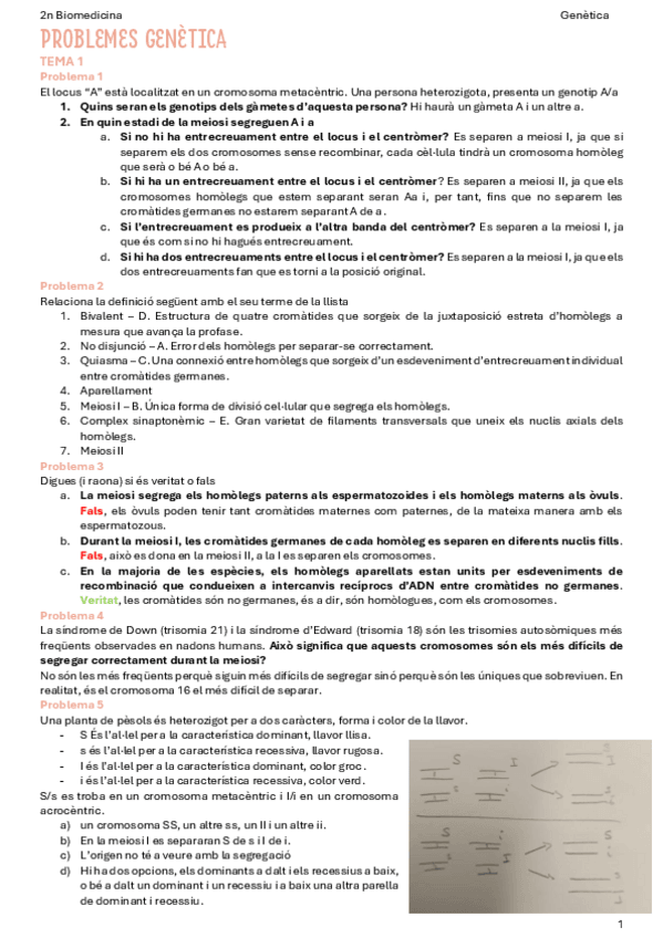 Miniatura del documento Problemes-genetica-T1-T4.pdf