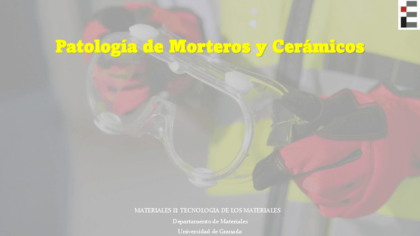 Miniatura del documento Patologia-de-Morteros-y-Ceramicos.pdf