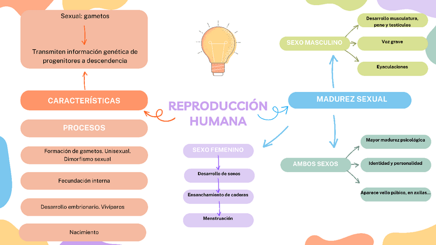 Miniatura del documento reproduccion-humana-3-ESO.pdf
