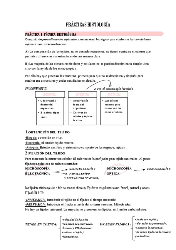 Miniatura del documento Practicas-de-histologia-1-4.pdf