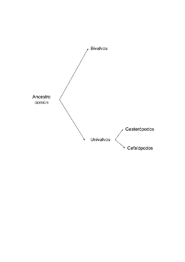 Miniatura del documento Moluscos.pdf