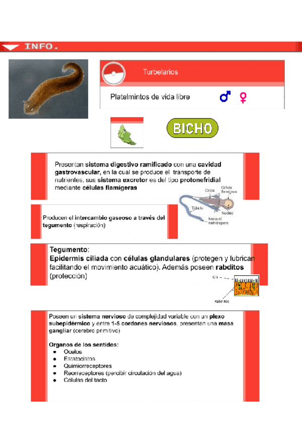 Miniatura del documento Helmintos.pdf