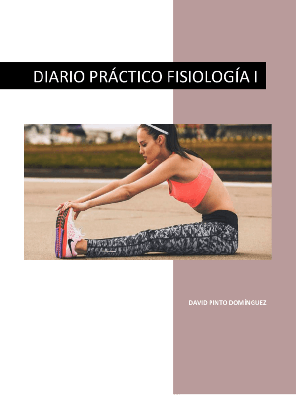 Miniatura del documento DIARIO PRÁCTICO.pdf