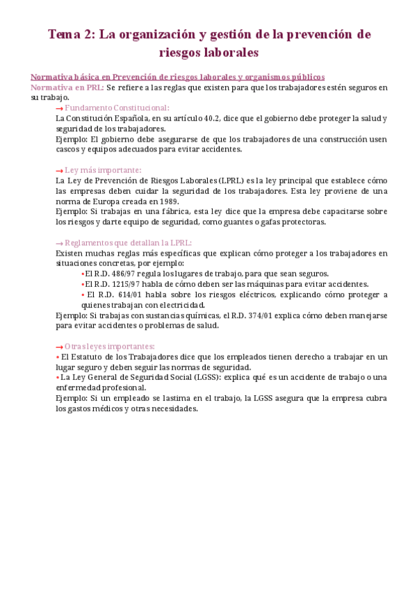 Miniatura del documento TEMA-2-LA-ORGANIZACION-Y-GESTION-DE-LA-PREVENCION-DE-RIESGOS-LABORALES.pdf