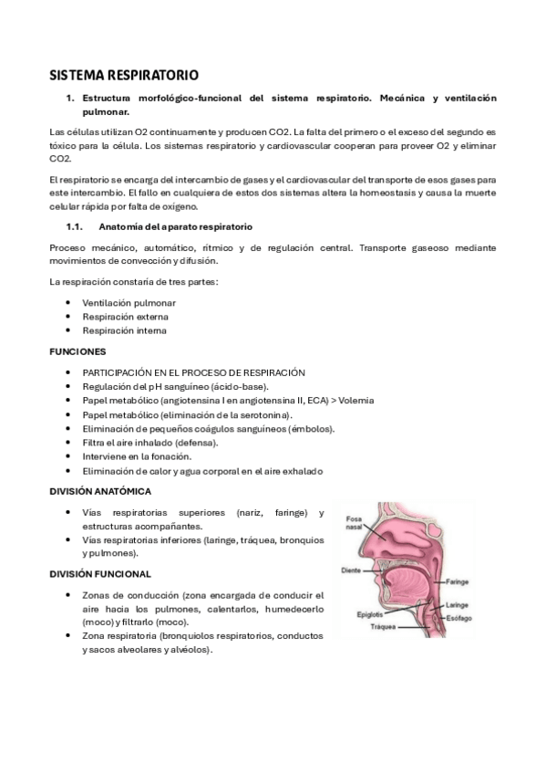 Miniatura del documento RESPIRATORIO-FISIO.pdf