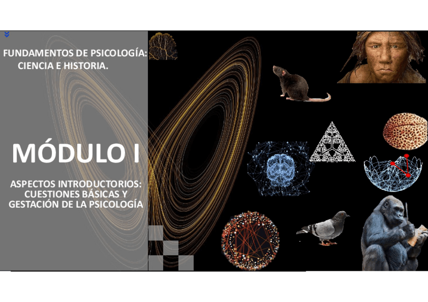 Miniatura del documento Tema-2.pdf