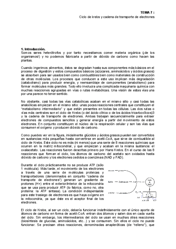 Miniatura del documento Tema-7.pdf