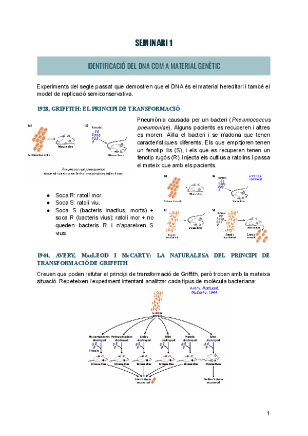 Miniatura del documento Seminaris-1r-parcial-genetica-molecular-1-6.pdf