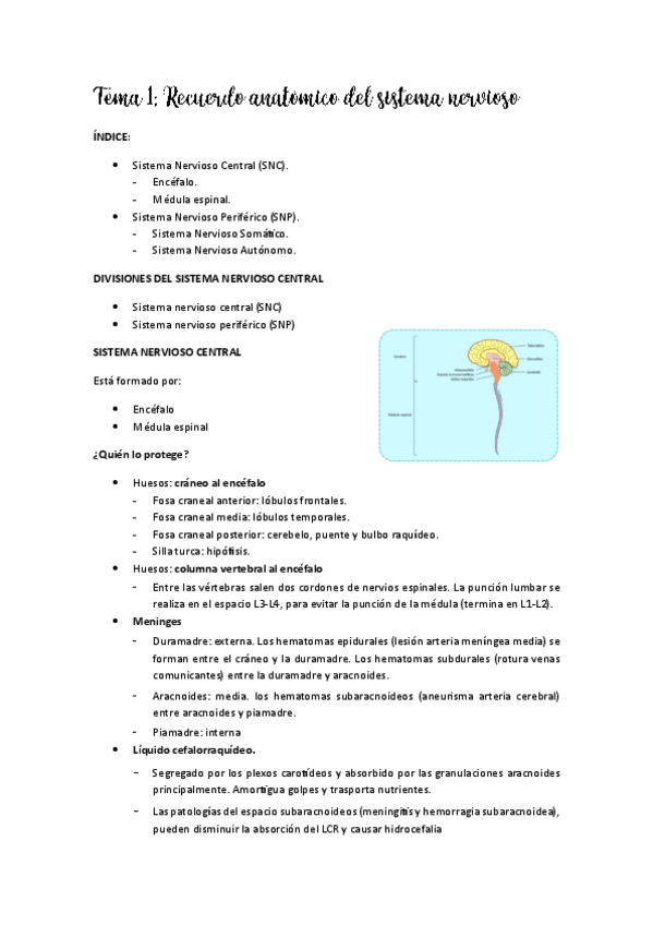 Miniatura del documento Tema-1.pdf