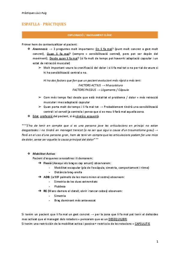 Miniatura del documento Practiques-Espatlla-Lluis-Puig.pdf