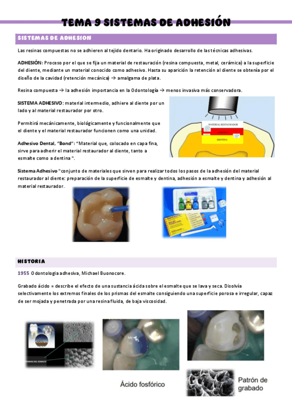 Miniatura del documento BIOMATERIALES-T9.pdf