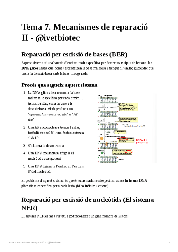 Miniatura del documento Tema-7Genetica-molecular.pdf