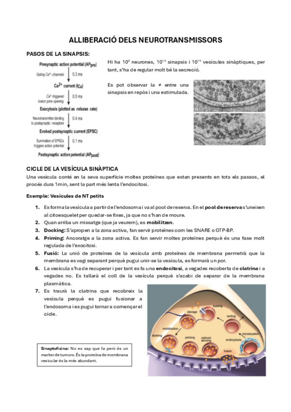 Miniatura del documento 10.-Alliberacio-dels-NT.pdf