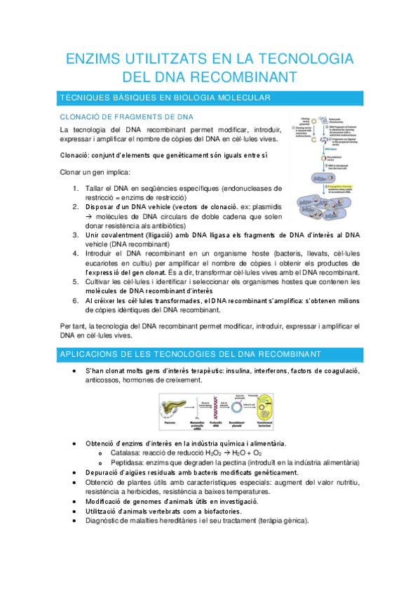 Miniatura del documento Seminari-enzims-utilitzats-en-la-tecnologia-del-DNA-recombinant.pdf