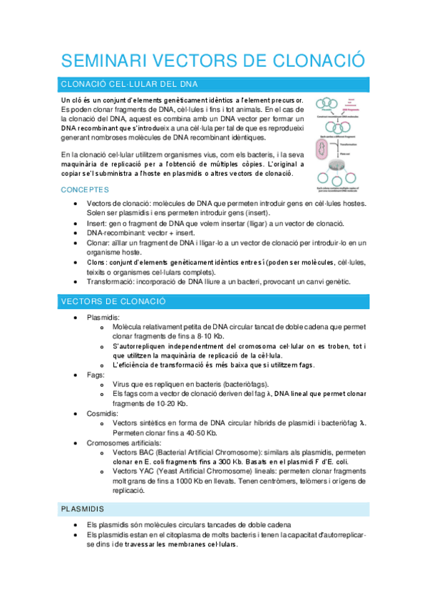 Miniatura del documento Seminari-vectors-de-clonacio.pdf