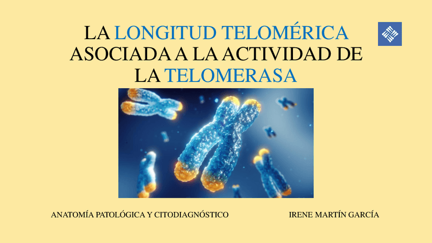 Miniatura del documento TFC - Presentación.pdf