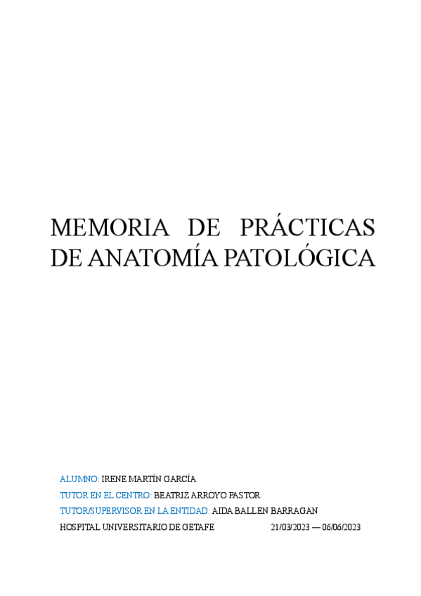 Miniatura del documento MEMORIA-DE-PRACTICAS.pdf
