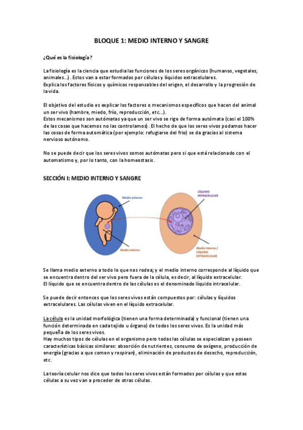 Miniatura del documento Medio-interno.pdf