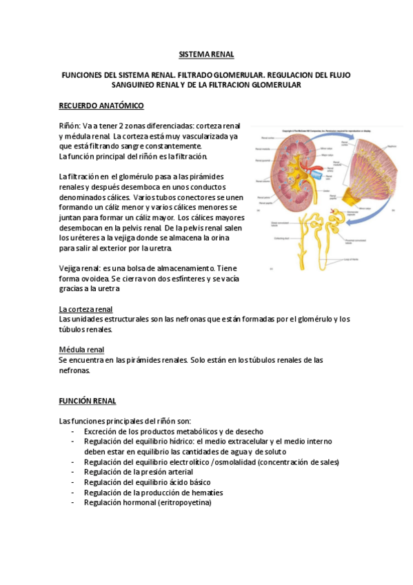 Miniatura del documento Sistema-Renal.pdf