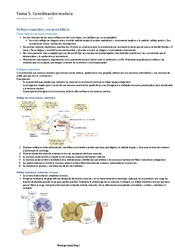 Miniatura del documento Tema-5.-Coordinacion-motora.pdf