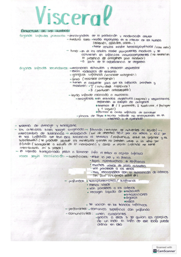 Miniatura del documento Visceral-raquel-1.pdf