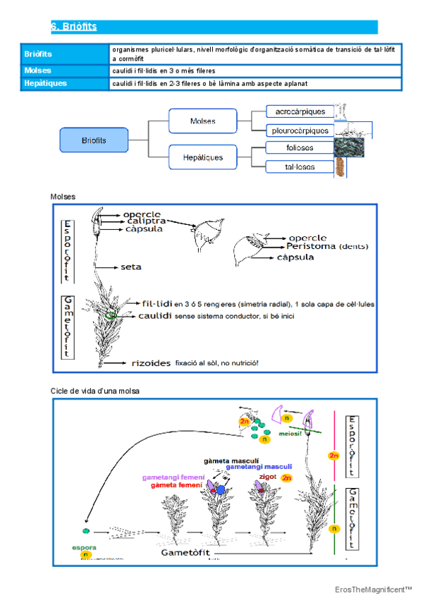 Miniatura del documento MB6.pdf
