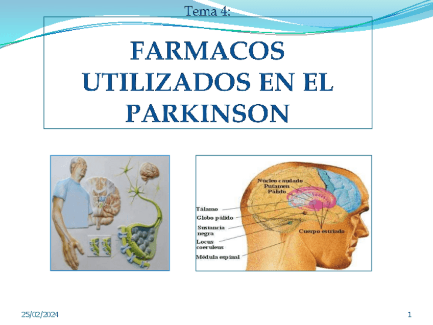 Miniatura del documento T.6-Antiparkinsonianos.pdf