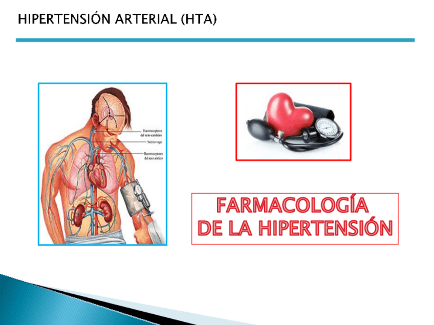 Miniatura del documento T.16-Hipertension.pdf