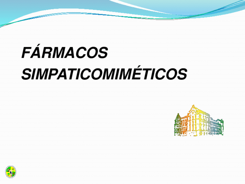Miniatura del documento T.20-Simpaticomimeticoa.pdf
