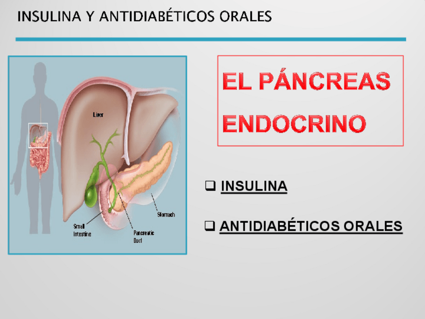 Miniatura del documento T.27-Antidiabeticos-orales.pdf