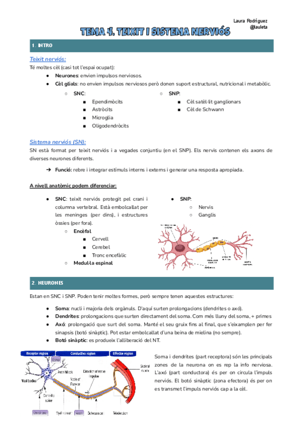 Miniatura del documento Tema-4-Histologia.pdf