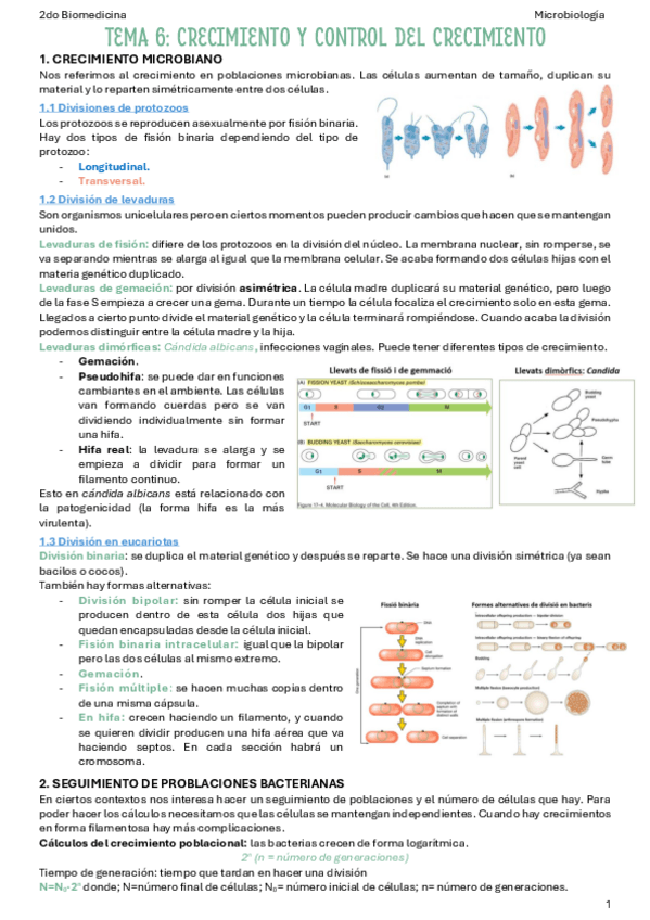 Miniatura del documento T6-Crecimiento-y-control-de-crecimiento.pdf