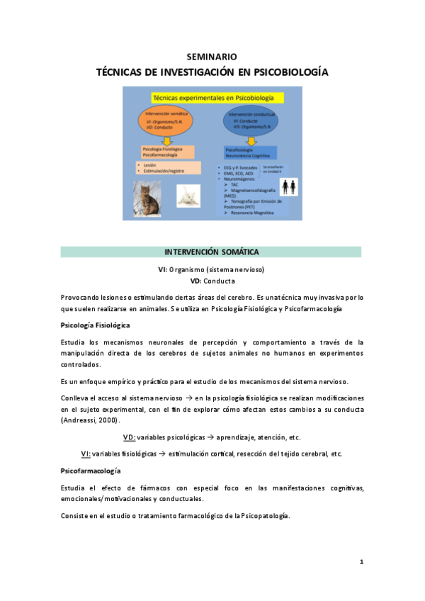 Miniatura del documento Apuntes-Seminario-Tecnicas.pdf