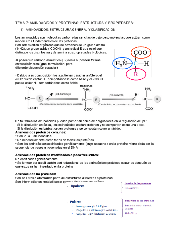 Miniatura del documento TEMA-7.docx.pdf