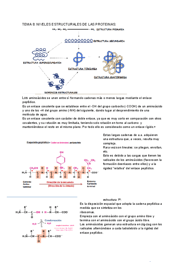 Miniatura del documento tema-8.pdf