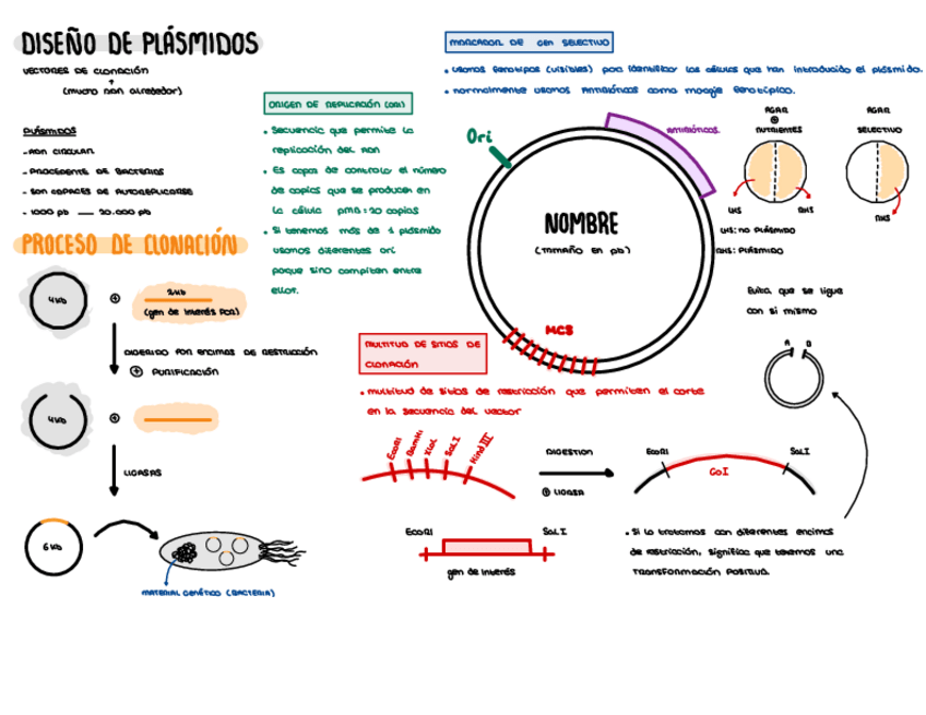 Miniatura del documento APUNTES-EXTRA.pdf