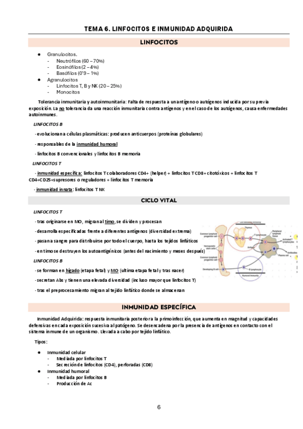 Miniatura del documento tema-6-linfocitos.pdf